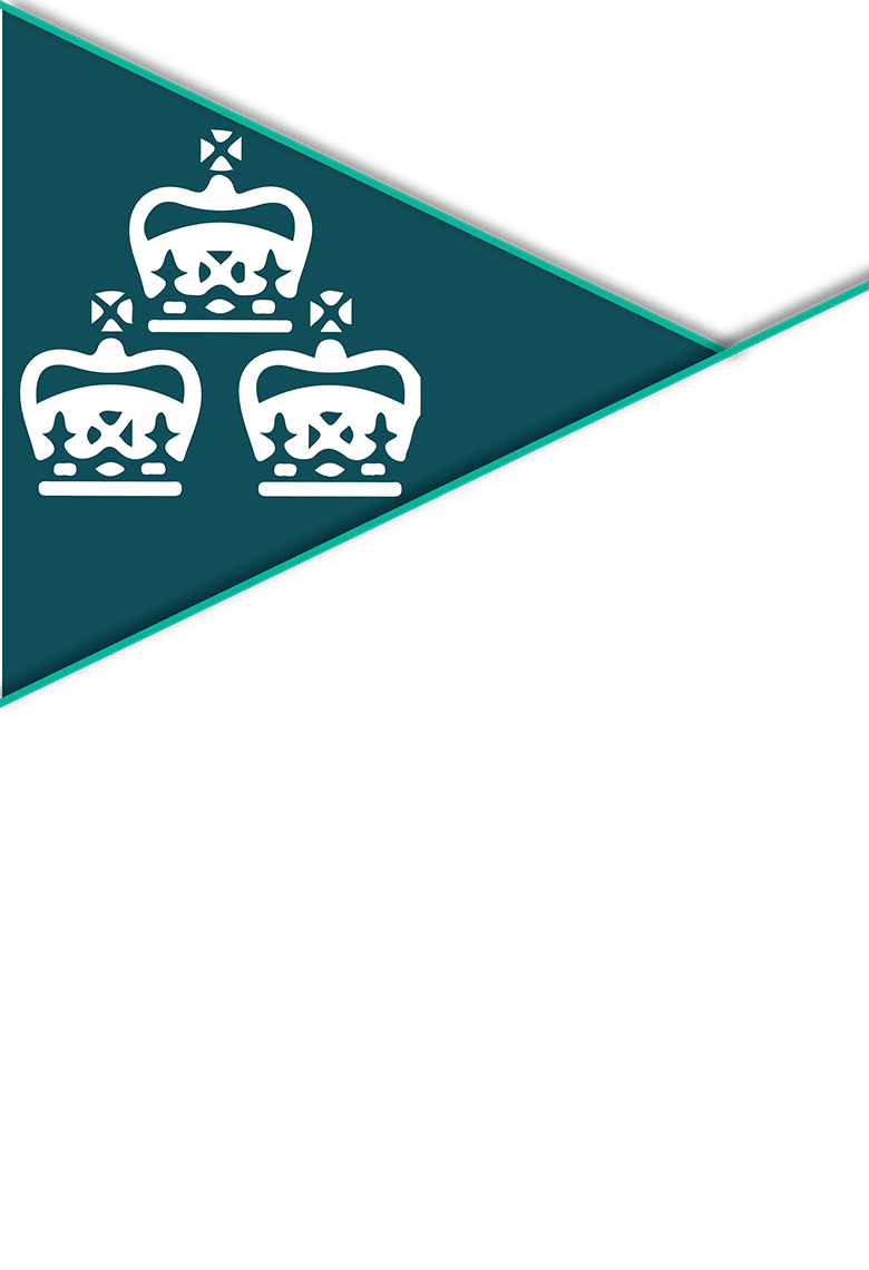 Timeline Arrow 2016