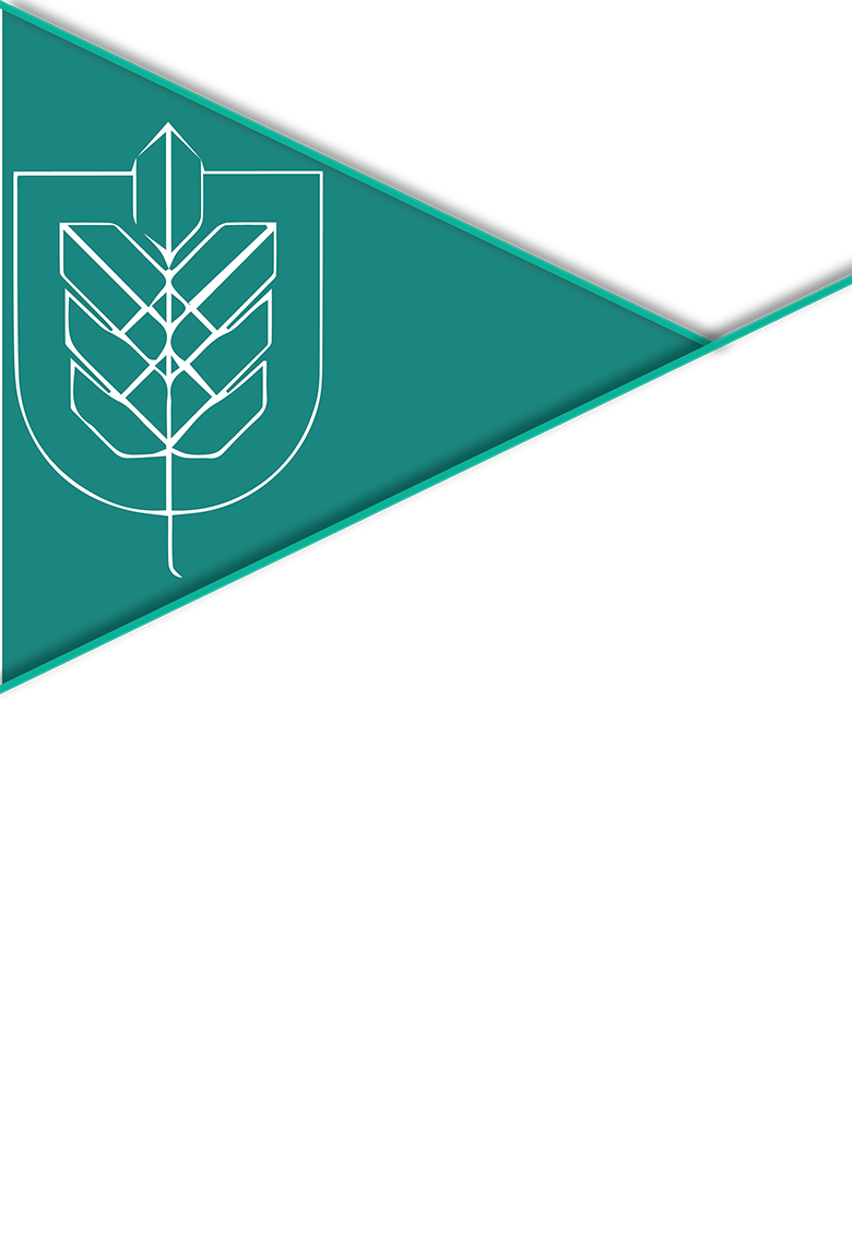 Timeline Arrow 2016