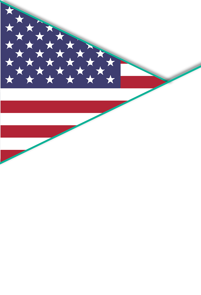 Timeline Arrow 2016
